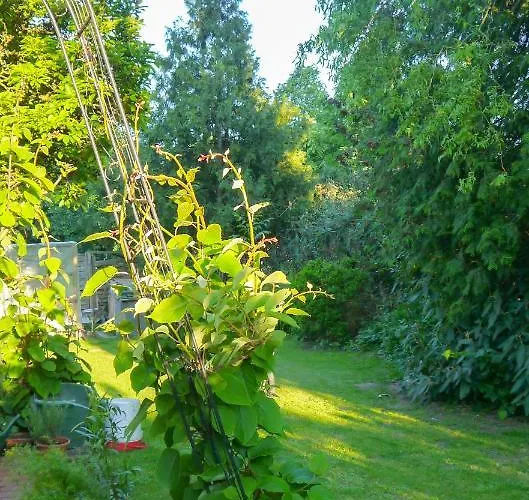 Biburg86420 Biburg